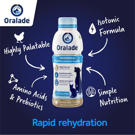 Oralade GI Support for Dogs and Cats