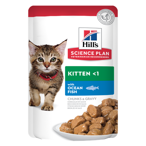 Kitten Food 12 x 85g