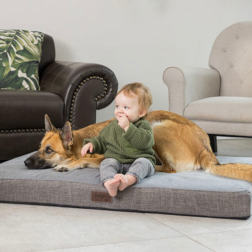 Rogz Lounge Flat Rectangular Bed