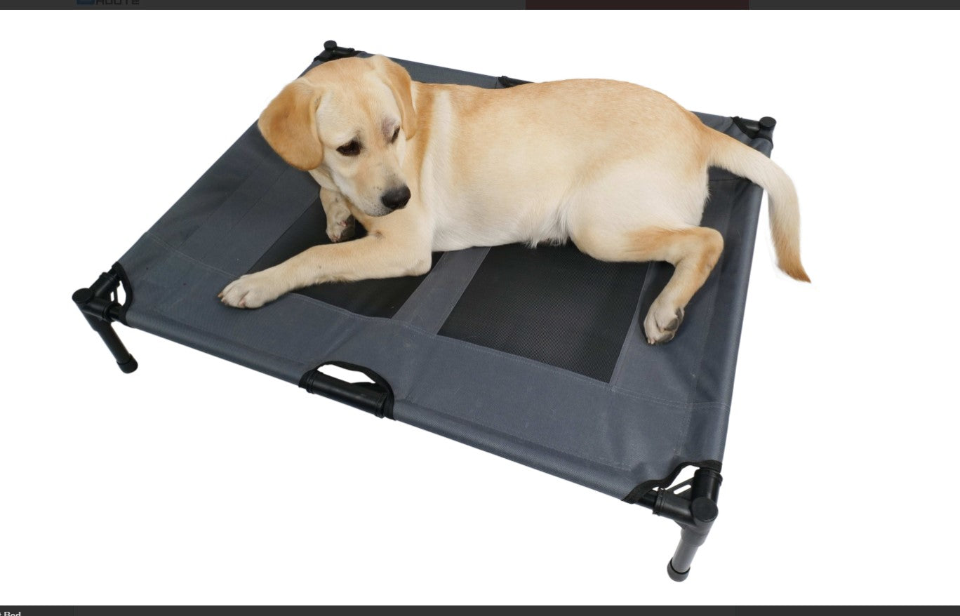 Elevated Dog Bed