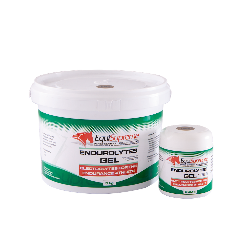 Equisupreme Endurolytes Gel
