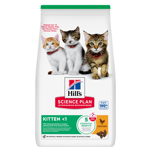 Hills Kitten Food