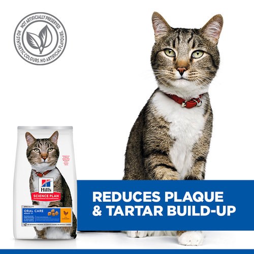 Hills Oral Care Adult Cat Food