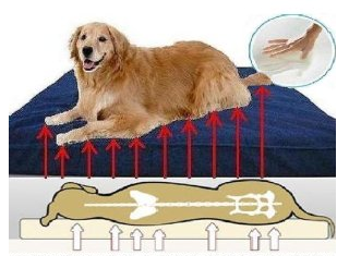 Dog-O-Pedic Snoozer Memory Foam Mattress