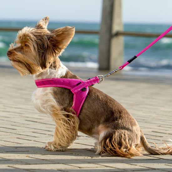 Rogz Classic Fast Fit Harness - PetX - Online