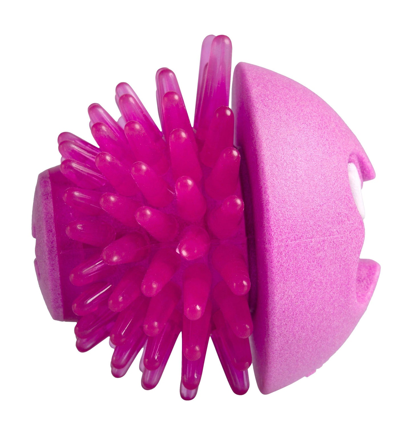 Rogz Fred Dog Treat Toy - PetX - Online