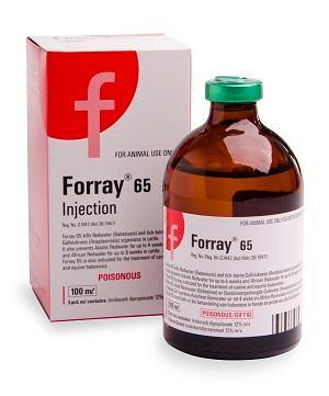Forray 65 - PetX - Online