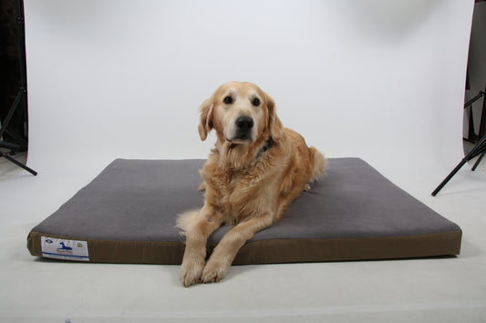 Dog-O-Pedic Memory Foam Orthopedic Mattress