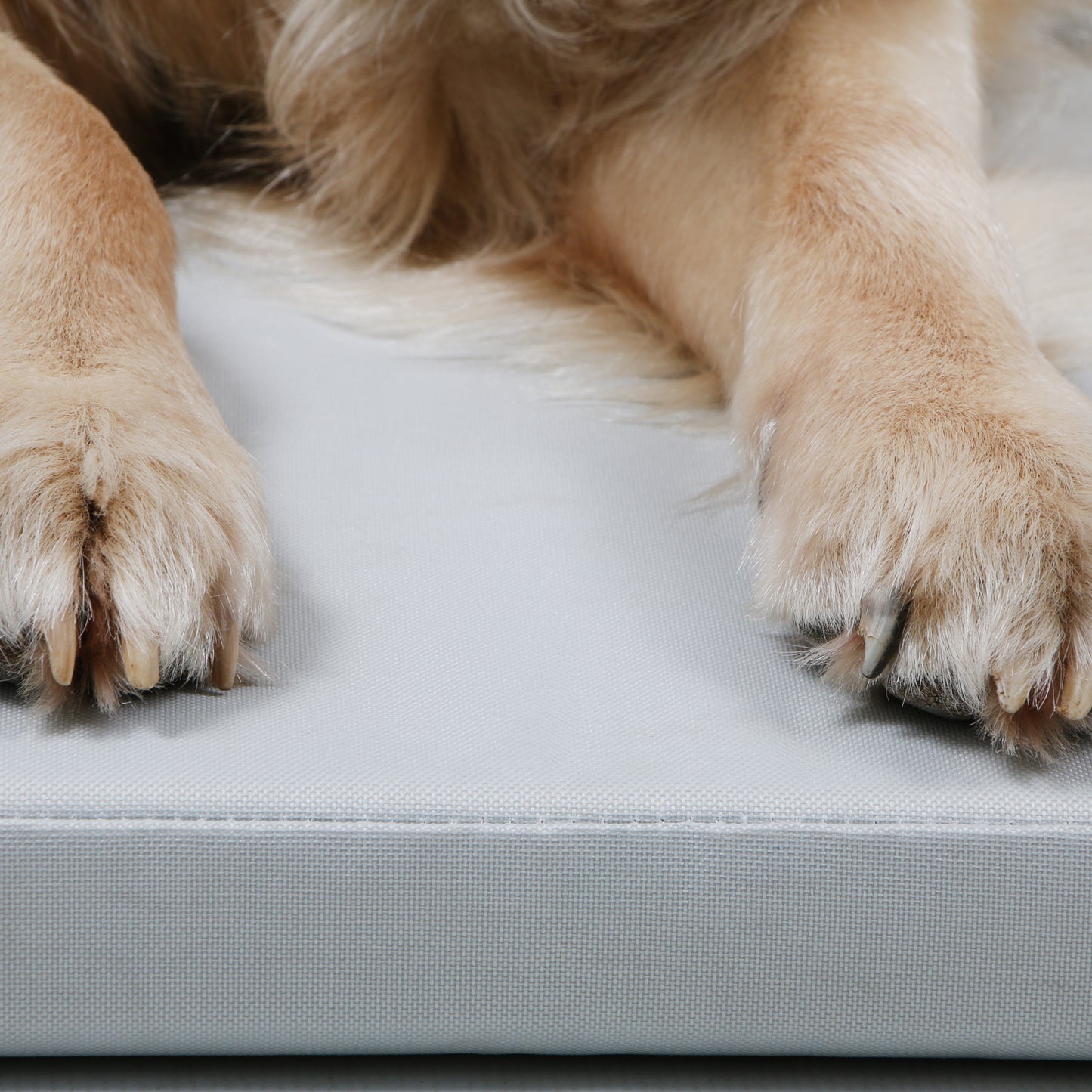 Dog-O-Pedic Hush Puppy Memory Foam Mattress