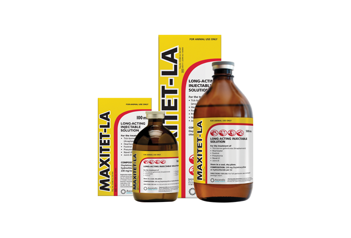 Maxitet LA Injectable Antibiotics - PetX - Online