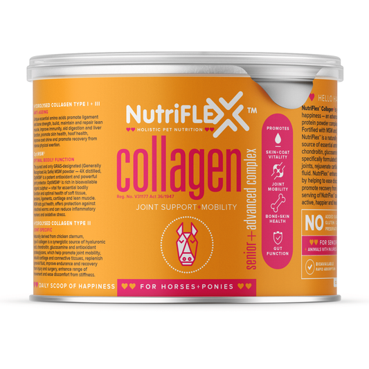 NutriFlex Collagen Advanced Mobility Complex for Horses - PetX - Online