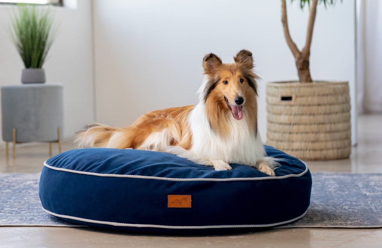 Wagworld Pebble Bed
