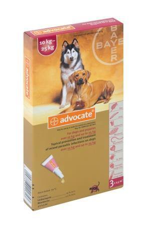 Advocate Mixed Parasite Spot On Treatment for Dogs ( 1 pipet ) - PetX - Online
