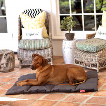 Wagworld k9 camper discount