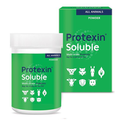 Protexin Soluble Probiotic Powder For Dogs & Cats - PetX - Online