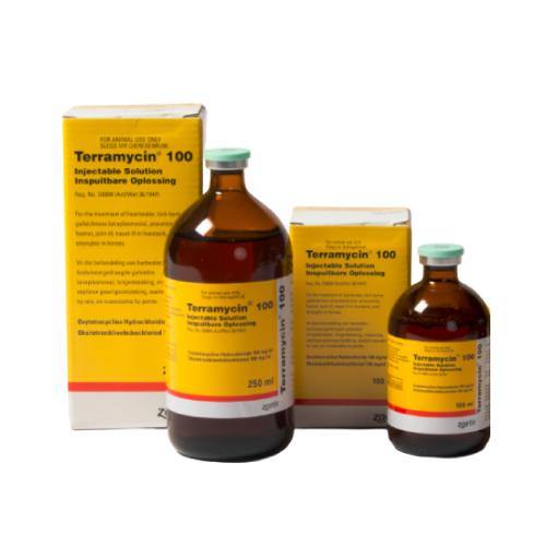 Terramycin 100 Injectable Antibiotics - PetX - Online