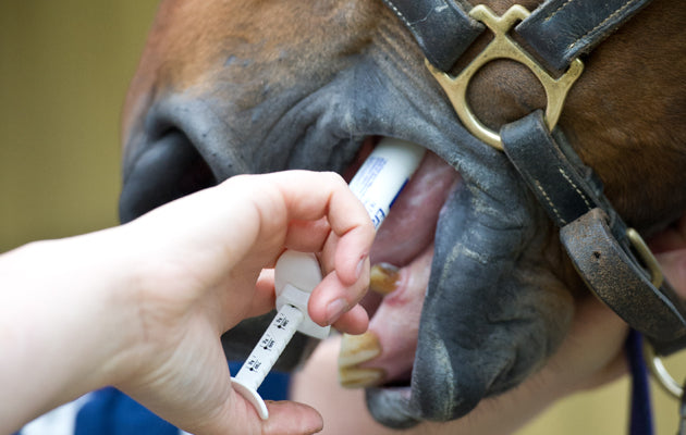 Horse Deworming