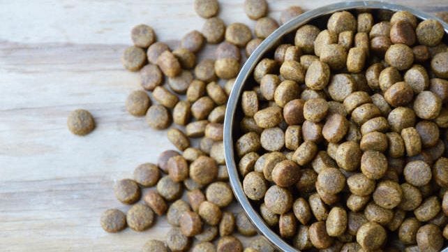 Dog Food