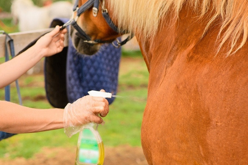 Horse Tick & Fly Control