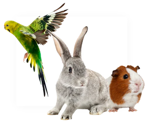 Other Critters