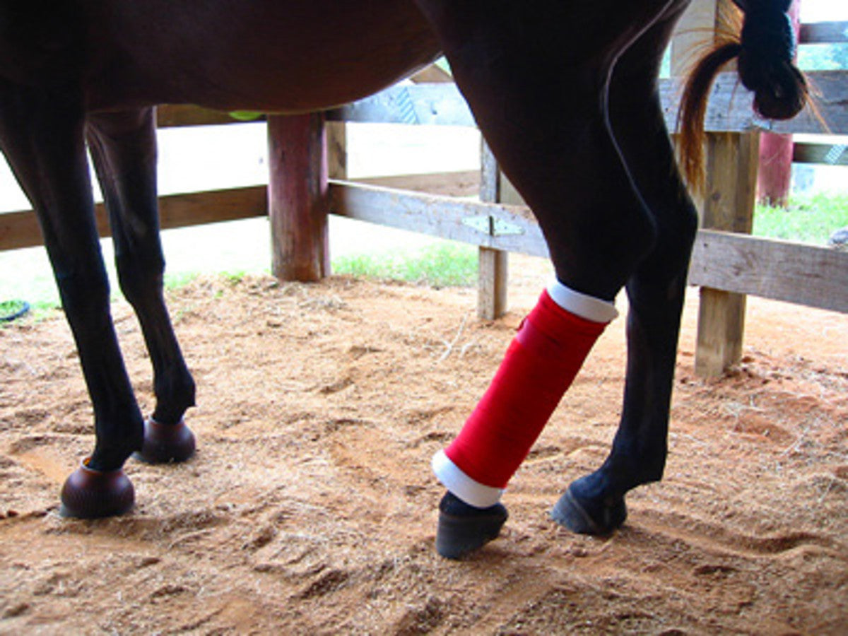 Horse Wound Care