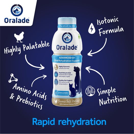 Oralade GI Support for Dogs