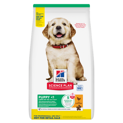 Hills Large Breed Puppy Food - Chicken