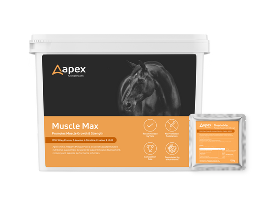 Apex Muscle Max 60x125g Sachets