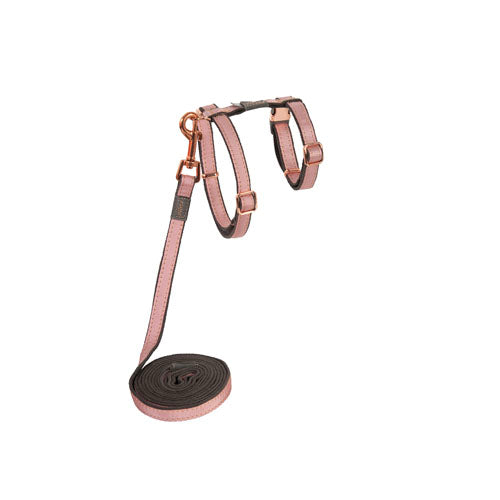 Rogz Urbancat control harness and lead