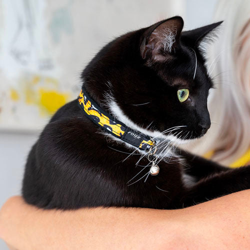 Rogz Fashioncat safety collar