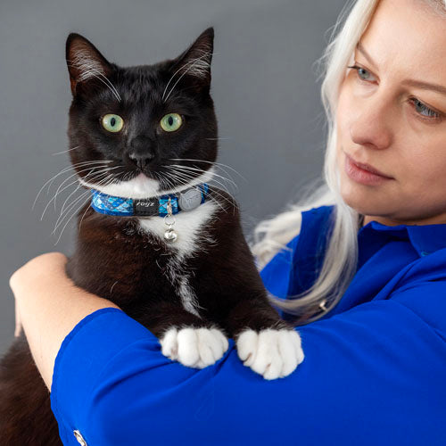 Rogz Fashioncat safety collar