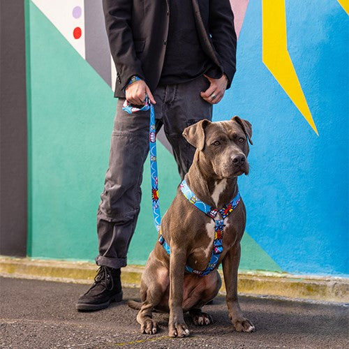 Rogz Fusion Classic Harness
