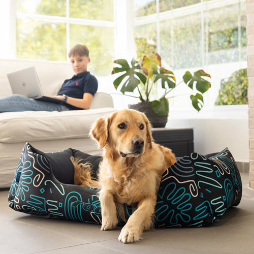Rogz Graphix Walled Bed