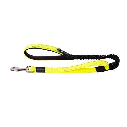 Rogz Utility Bungee Lead