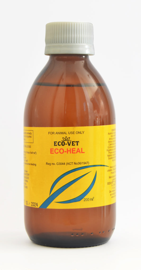 Eco Heal