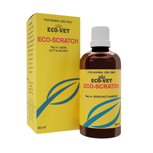 Eco Scratch