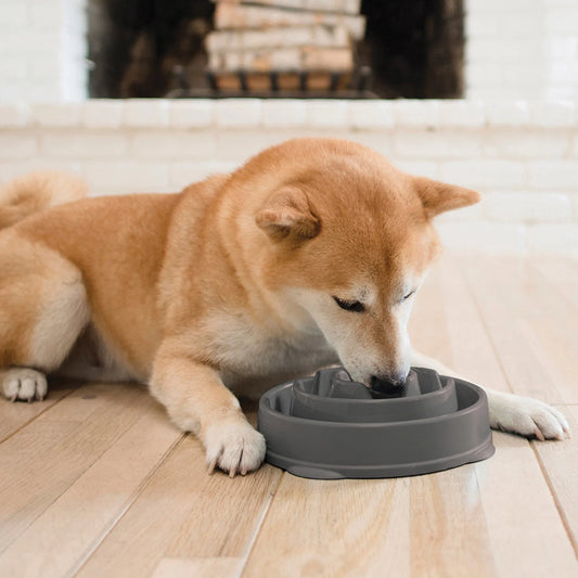 Outward Hound Fun Feeder