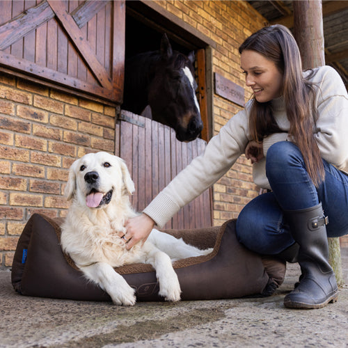 Rogz Outdoor Walled Bed