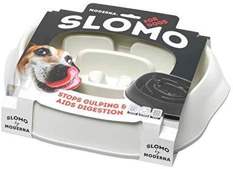 Moderna Slomo