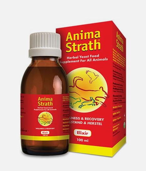 Anima-Strath Elixir