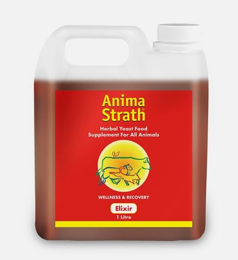 Anima-Strath Elixir