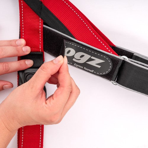 Rogz Utility Letzgo Personalized Harness