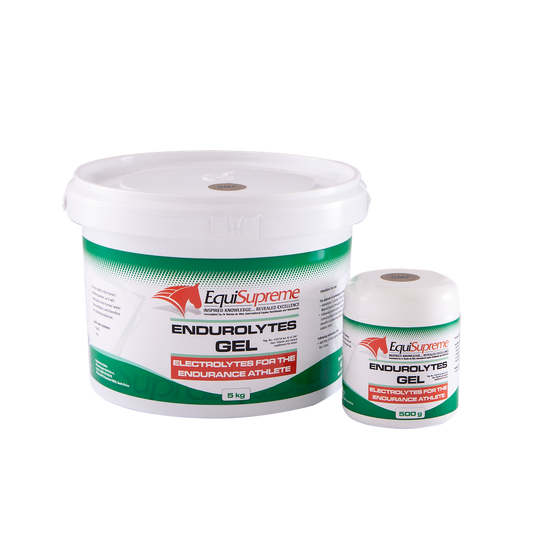 Equisupreme Endurolytes Gel