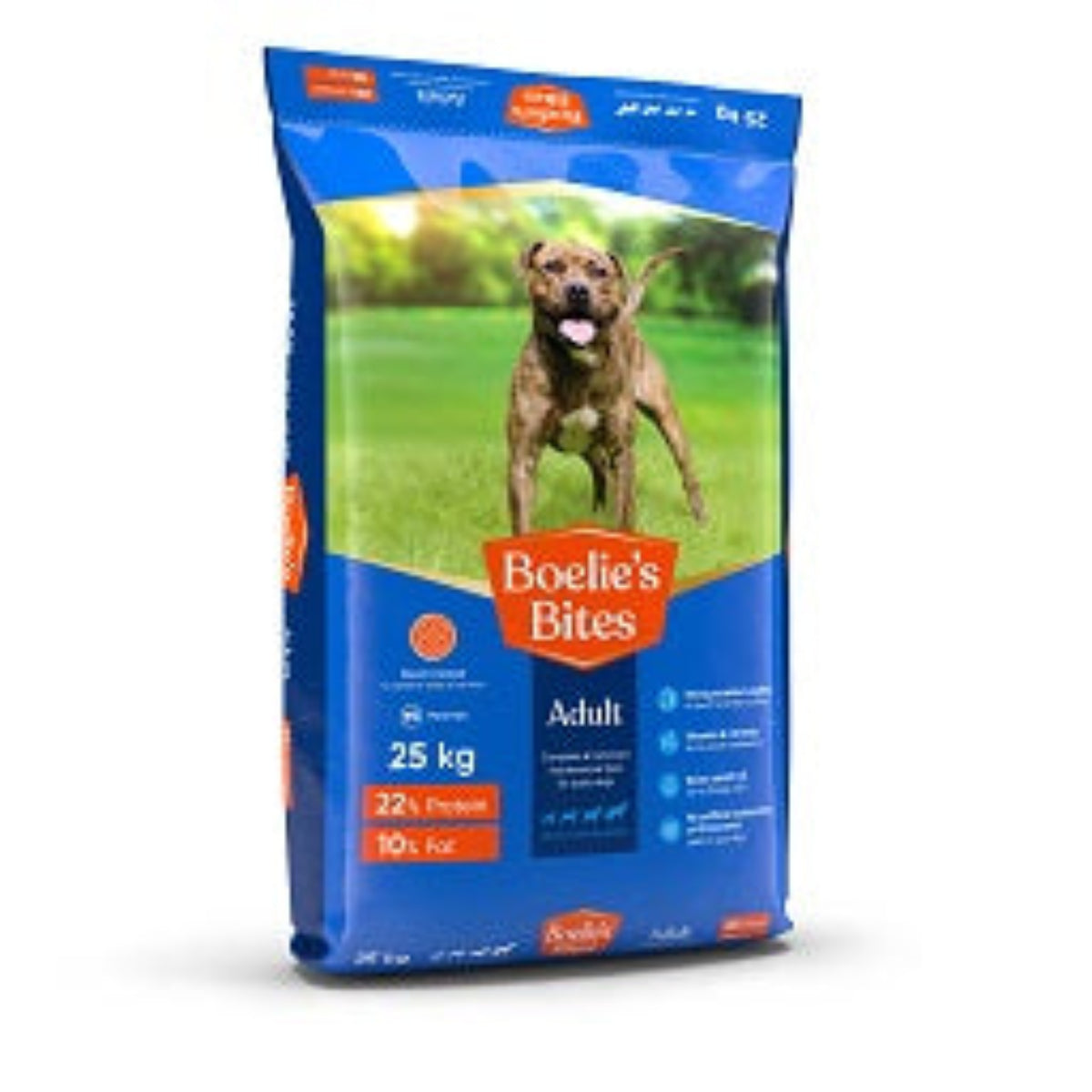 Amigo Boelies Bites Adult