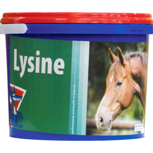 Equifox Lysine