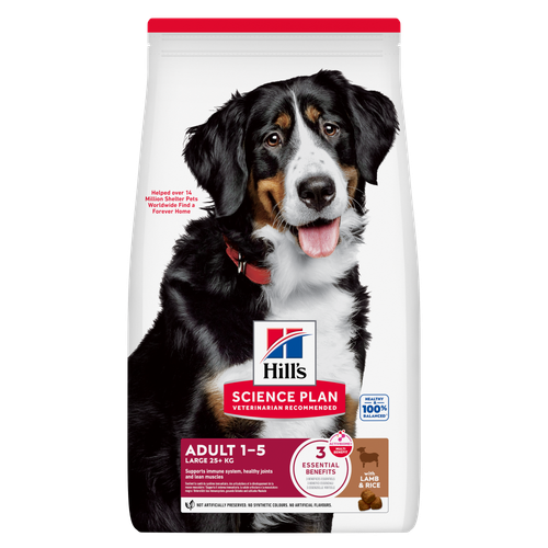 Hills Large Breed Adult Dog Food - Chicken