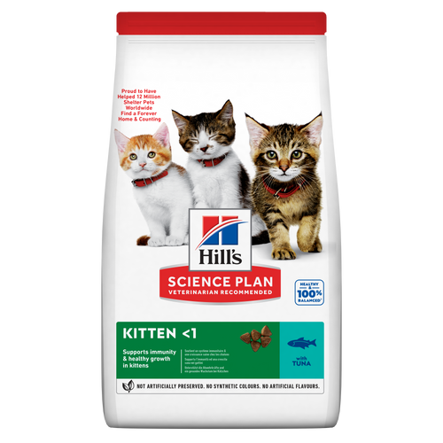 Hills Kitten Food