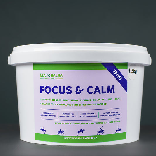 Max Focus & Calm