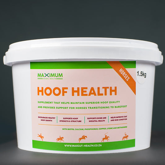 Max Hoof Health