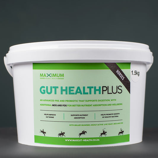 Max Gut Health PLUS